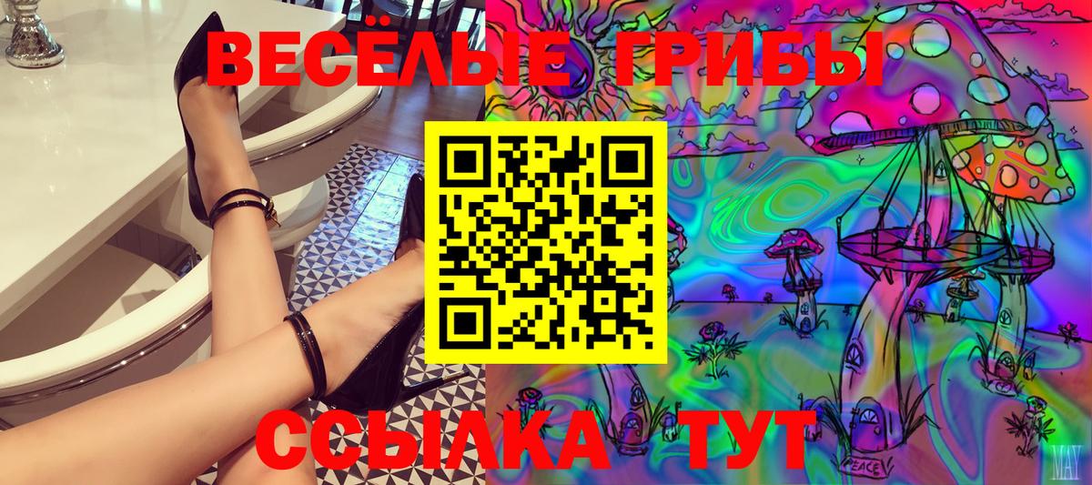 Галлюциногенные грибы Psilocybe Острогожск